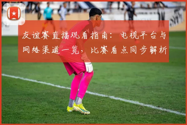友谊赛直播观看指南：电视平台与网络渠道一览，比赛看点同步解析